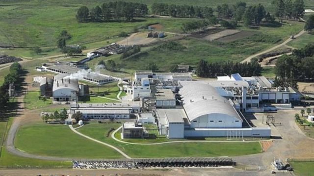 Buenas, Alegrete: o impacto da nova política americana no frigorífico local é mais sério que tempo feio em rodeio!