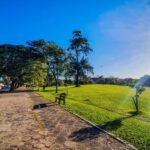 Com alta de 14,1% no consumo até 2029, pondera-se a volta do horário de verão no Brasil.