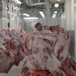 Mas bah, no coração de Alegrete, Minerva Foods abre 80 oportunidades de emprego com benefícios que vão conquistar os viventes de todo o pago.