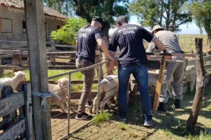 Divisão especializada da Polícia Civil gaúcha já causou prejuízo de R$ 10 bilhões aos malandragem que roubam nas querência do interior