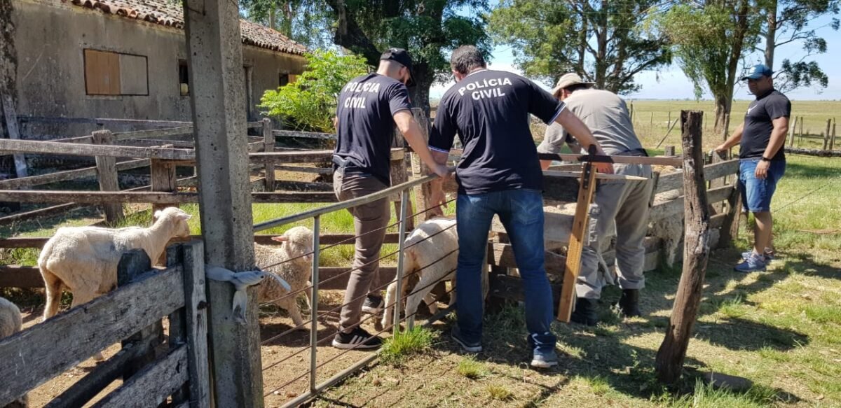 Divisão especializada da Polícia Civil gaúcha já causou prejuízo de R$ 10 bilhões aos malandragem que roubam nas querência do interior