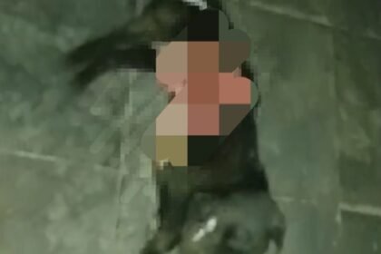 Nos campos da fronteira oeste, onde o respeito pelos bichos sempre foi lei entre a gauchada, um caso bárbaro contra um cusco deixou a vizinhança mais fervilhante que água de chaleira