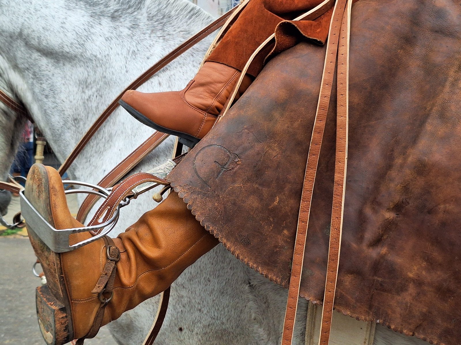 Buenas! Do coração da fronteira, Alegrete se prepara pro maior evento de nossa tradição, e quem tem cavalo precisa ficar de olho nos prazos!