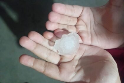 Temporal destelhou moradias, derrubou árvores e deixou viventes sem luz na querência alegretense - Defesa Civil e Bombeiros não pararam a noite toda