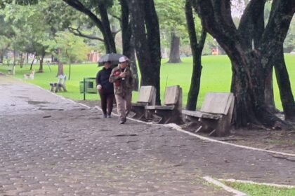 Prepare a bombacha de lã e o mate bem quente, tchê! O pago alegretense vai enfrentar uma semana de muita água e um frio de renguear cusco nos próximos dias