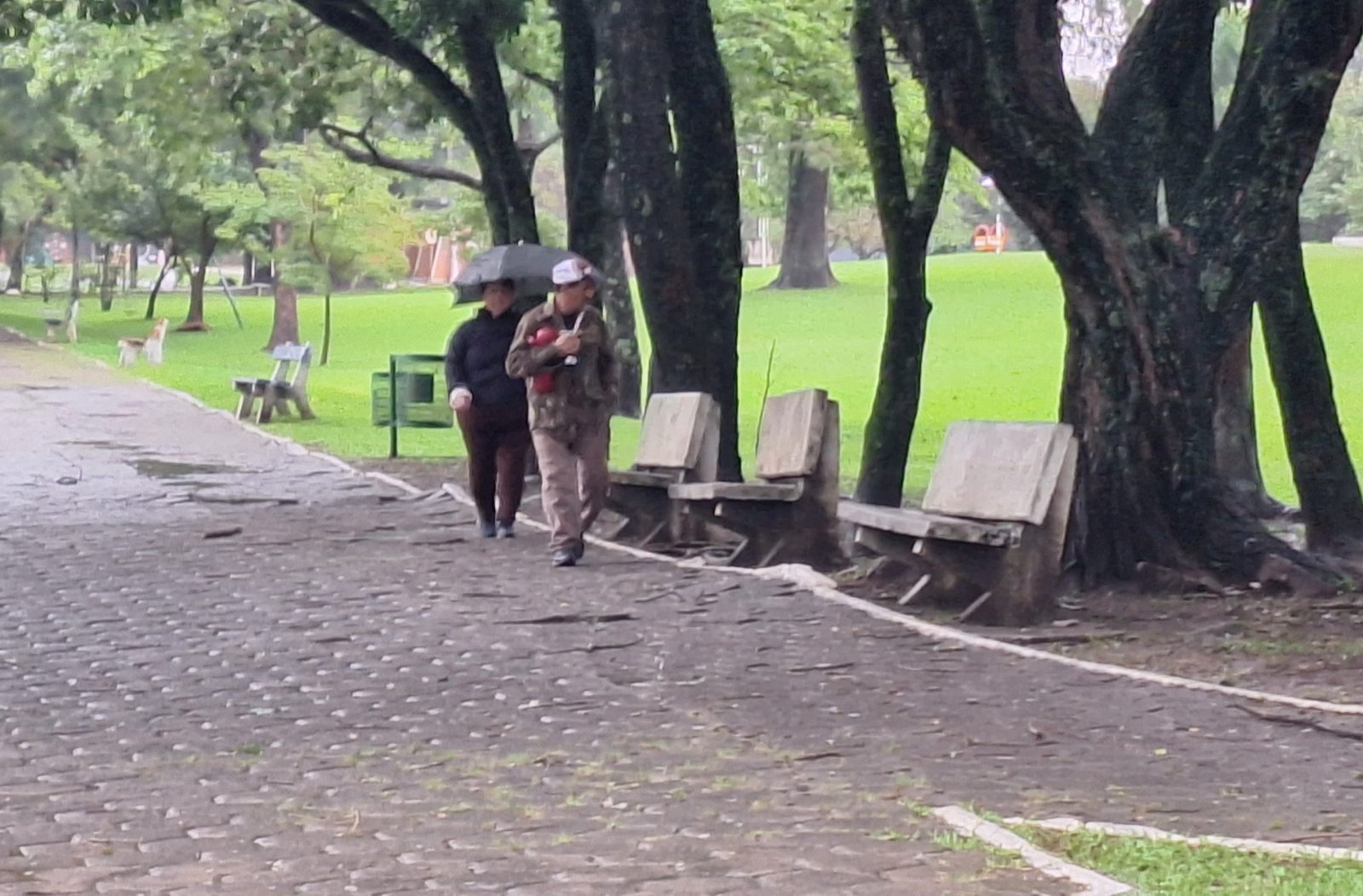 Prepare a bombacha de lã e o mate bem quente, tchê! O pago alegretense vai enfrentar uma semana de muita água e um frio de renguear cusco nos próximos dias