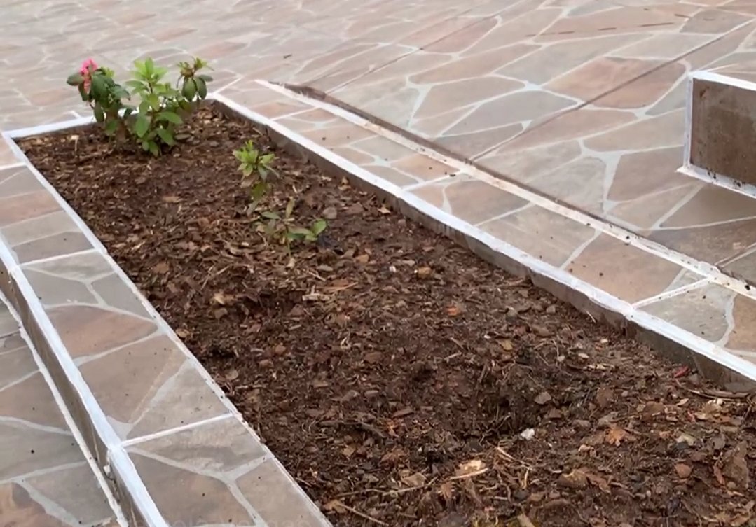 De canteiro florido a terra nua: vivente de Alegrete registra a tristeza de ver seu esforço comunitário arrancado pela raiz na querência