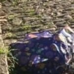 Nos campos urbanos de Porto Alegre, uma descoberta sinistra deixou viventes do bairro mais inquietos que gado em véspera de tempestade