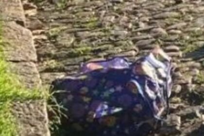 Nos campos urbanos de Porto Alegre, uma descoberta sinistra deixou viventes do bairro mais inquietos que gado em véspera de tempestade