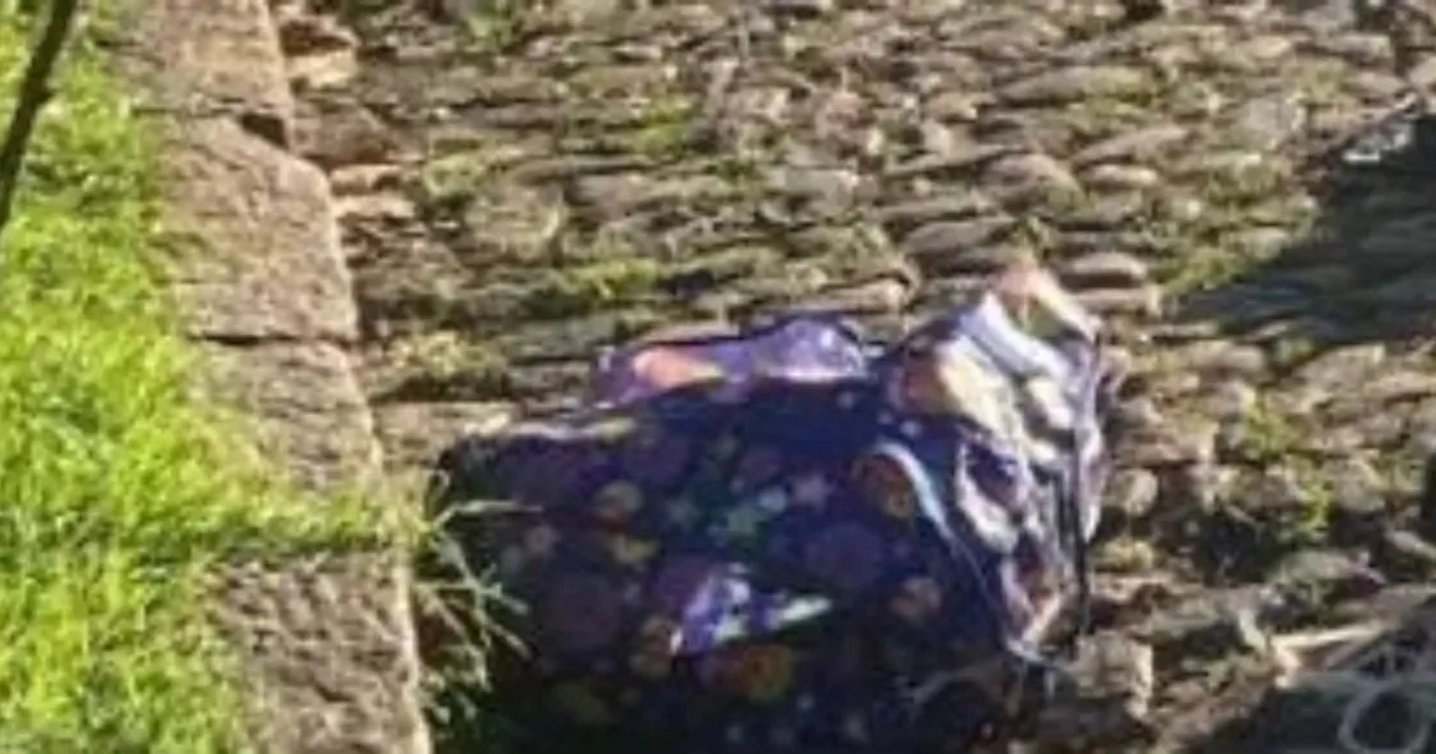 Nos campos urbanos de Porto Alegre, uma descoberta sinistra deixou viventes do bairro mais inquietos que gado em véspera de tempestade