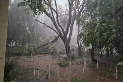 O tempo virou de rabo na querência, e Alegrete junto com a região fronteira pode enfrentar ventos mais fortes que minuano de inverno, chegando aos 100 km/h