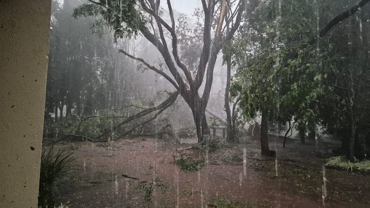 O tempo virou de rabo na querência, e Alegrete junto com a região fronteira pode enfrentar ventos mais fortes que minuano de inverno, chegando aos 100 km/h