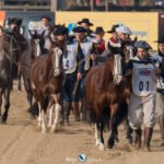 A maior festa campeira do Rio Grande prepara terreno para receber uma tropa de quase 7 mil animais em Esteio, num crescimento que deixaria até domador de boca aberta