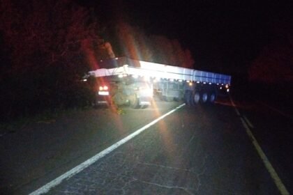 Buenas! Na querência de Alegrete, um cusco atravessado virou mais problema que politicagem em ano de eleição