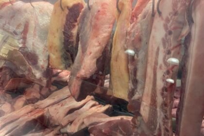 Tarifaço gringo previa baixa no lombo, mas pecuarista alegretense segue firme no rodeio do mercado internacional