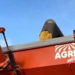 Enquanto o Brasil se prepara pra colher mais de 170 milhões de toneladas em 2025, os campos da nossa querência alegretense sofrem com a estiagem e registram quebra de 60% na produção