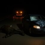 A madrugada campeira virou pranto em Rosário do Sul quando um Vectra cruzou o destino de um matungo extraviado na rodovia, deixando nossa querência de luto