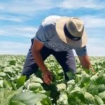 Buenas, vivente! Hoje a prosa é sobre aqueles que fazem a querência produzir mais que gado em campo de boa pastagem