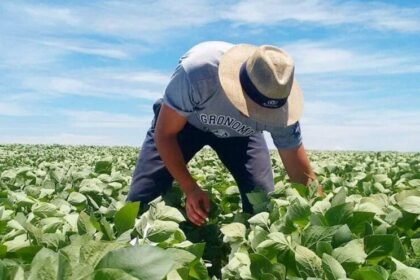 Buenas, vivente! Hoje a prosa é sobre aqueles que fazem a querência produzir mais que gado em campo de boa pastagem