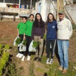 No coração da Fronteira Oeste, um pedaço de chão vira motivo de orgulho e sustento para a comunidade alegretense