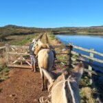 Buenas, tchê! O Caminho do Pampa tá trazendo um pedaço da história gaúcha para os pés dos alegretenses numa experiência que promete ser mais marcante que rodeio em dia de final!
