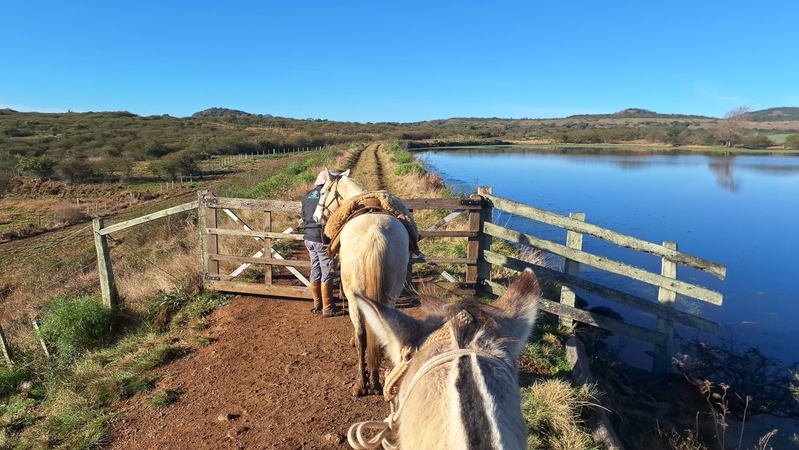Buenas, tchê! O Caminho do Pampa tá trazendo um pedaço da história gaúcha para os pés dos alegretenses numa experiência que promete ser mais marcante que rodeio em dia de final!