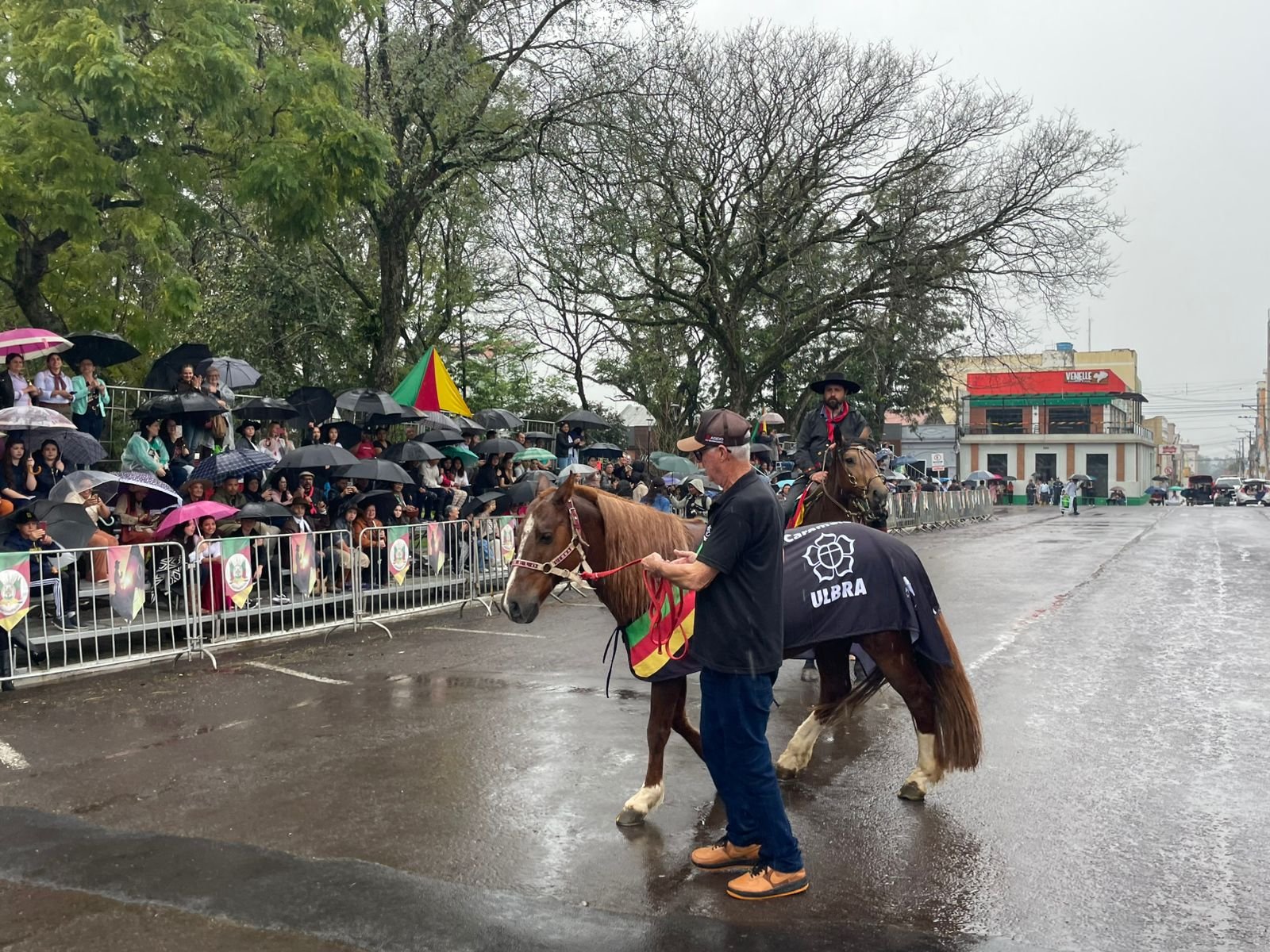 De cima de um telhado nas enchentes para o coração da Fronteira Oeste, o baio que virou lenda gaúcha pisou em nossos pagos pela primeira vez no 20 de setembro