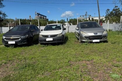 Buenas, vivente! Prepare o laço e a carteira que tá chegando a hora de campear aquele veículo mais barato que gado em tempo de seca na querência alegretense