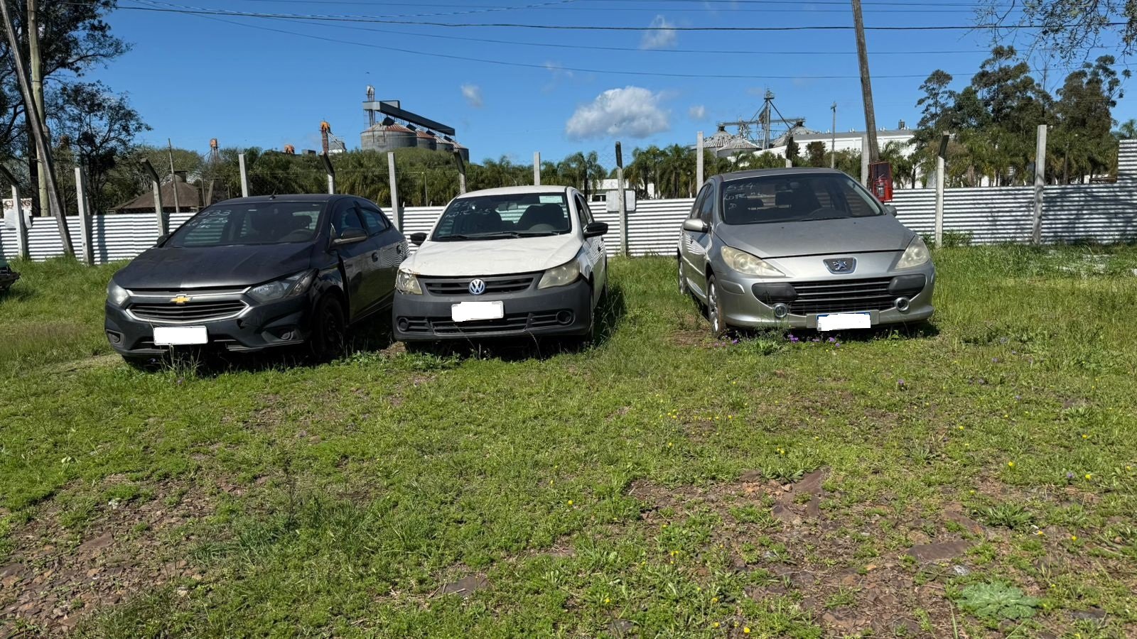 Buenas, vivente! Prepare o laço e a carteira que tá chegando a hora de campear aquele veículo mais barato que gado em tempo de seca na querência alegretense