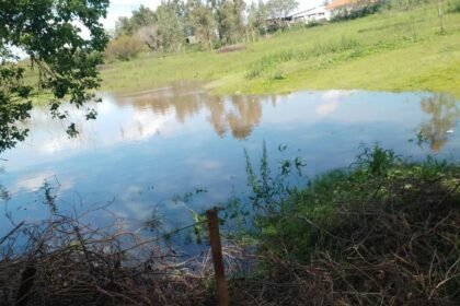 Nas várzeas do nosso pago, o velho Ibirapuitã mostrou que quando resolve crescer, não tem barranca que segure - águas já passam da cota de inundação