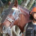 Da fronteira para os pampas de Alegrete, o homem que levou a tradição da Briosa no peito e marcou gerações na querência