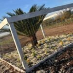 Nos rincões de Alegrete, um produtor forasteiro virou gaudério de coração e ensinou como embelezar a querência com cores e vida