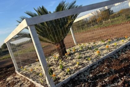 Nos rincões de Alegrete, um produtor forasteiro virou gaudério de coração e ensinou como embelezar a querência com cores e vida