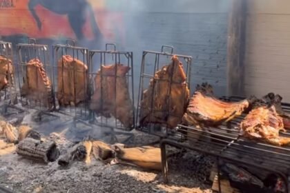 Cerca de 400 viventes se bandearam pro galpão do Farroupilha num domingo que ficará na memória dos alegretenses como um verdadeiro tributo às tradições gaúchas