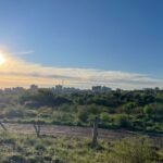 Prepare o mate bem quente pro raiar do dia e aproveite os raios de sol que vão dar as caras nas tardes da querência - tempo firme sem ameaça de chuva na semana inteira
