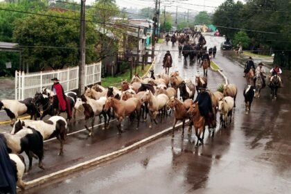 Tropilhas de pelo do piquete Tradição Azul e Tradição do Lageadinho revivem memória campeira e encantam os olhos dos alegretenses no Desfile Farroupilha