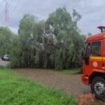 Chuvarada e vento minuano fizeram mais estragos que touro brabo em loja de cristal, com destelhamentos e galhos caídos por toda querência