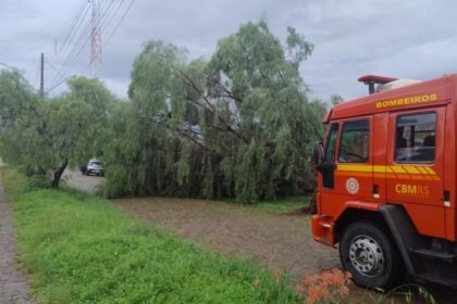 Chuvarada e vento minuano fizeram mais estragos que touro brabo em loja de cristal, com destelhamentos e galhos caídos por toda querência