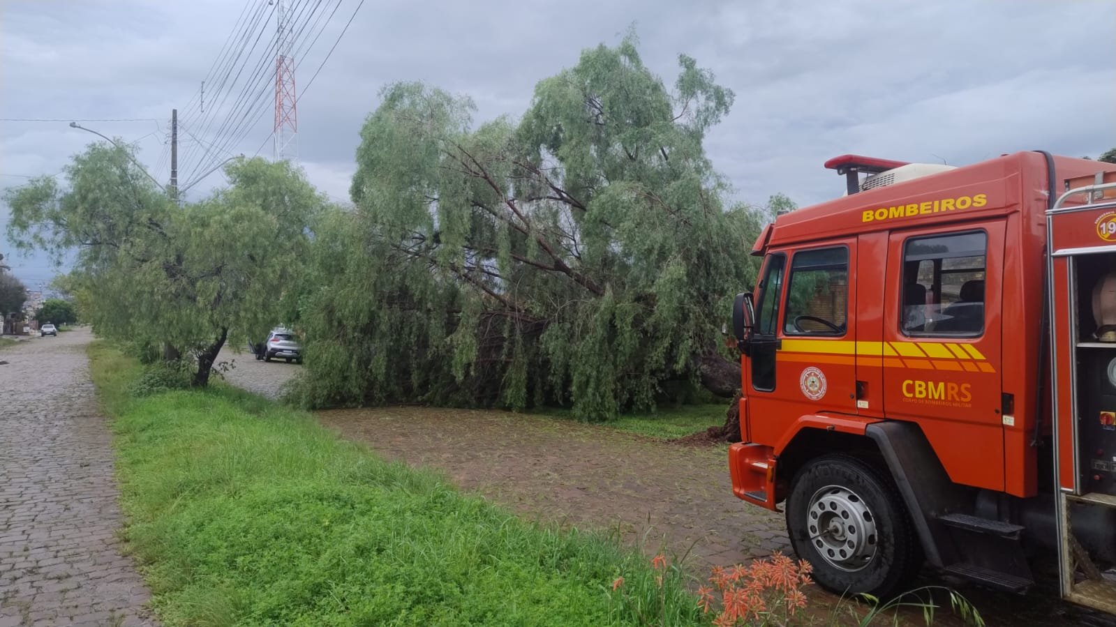 Chuvarada e vento minuano fizeram mais estragos que touro brabo em loja de cristal, com destelhamentos e galhos caídos por toda querência