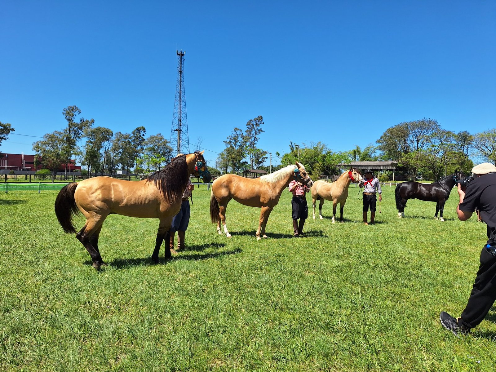 Mais movimentada que rodeio em dia de final, a feira transforma o Parque Dr. Lauro Dornelles num verdadeiro paraíso de negócios, cultura e chimarrão