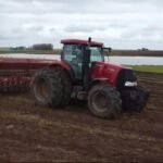 Em meio às lidas do campo, produtores alegretenses mostram que têm mais força que touro xucro quando o assunto é plantar o cereal que é o orgulho da nossa querência