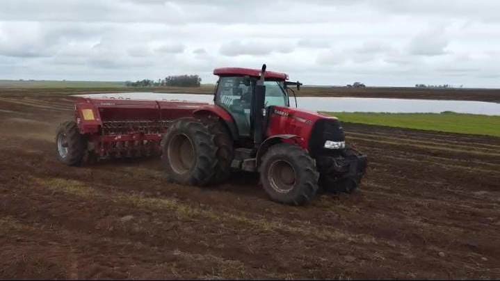 Em meio às lidas do campo, produtores alegretenses mostram que têm mais força que touro xucro quando o assunto é plantar o cereal que é o orgulho da nossa querência