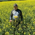 Nosso Alegrete vai sentir o bafo do minuano inverso com temperatura chegando aos 30 graus antes da chuvarada que vem por aí na sexta-feira