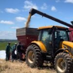 Enquanto o chimarrão esquenta na cuia, o agronegócio ferve de oportunidades na querência - números mostram que o setor que move nossa fronteira oeste bate recorde de empregos no país