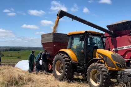 Enquanto o chimarrão esquenta na cuia, o agronegócio ferve de oportunidades na querência - números mostram que o setor que move nossa fronteira oeste bate recorde de empregos no país