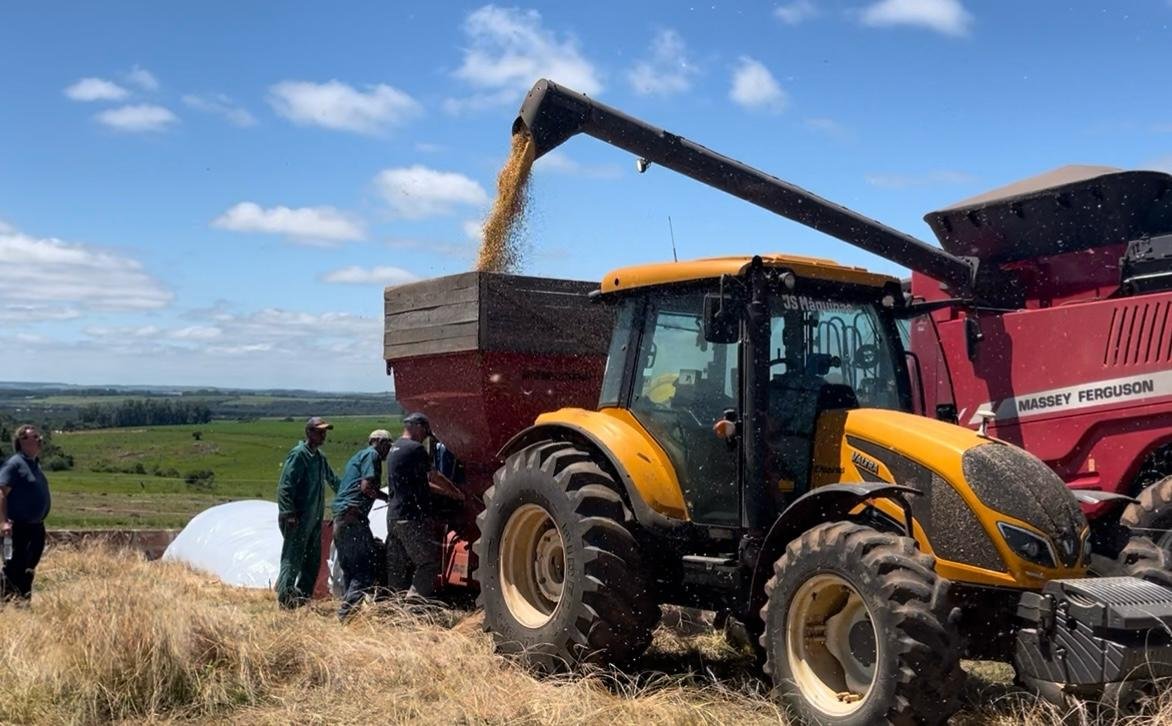 Enquanto o chimarrão esquenta na cuia, o agronegócio ferve de oportunidades na querência - números mostram que o setor que move nossa fronteira oeste bate recorde de empregos no país