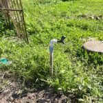 Buenas, viventes! Uma história mais triste que cusco sem dono na beira da estrada aconteceu em nossa querência, onde cinco famílias do bairro Canudos ficaram com os baldes secos da noite pro dia