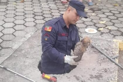 Num causo que mistura coragem de bombeiros e amor pelos bichos, gurizada da OPAA não baixou a cabeça até tirar o cusquinho do aperto