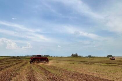 Na querência do Baita Chão, produtores gaudérios já plantaram mais de 15 mil hectares, enquanto o Rio Grande avança com 38% da área prevista para a safra que promete encher os galpões