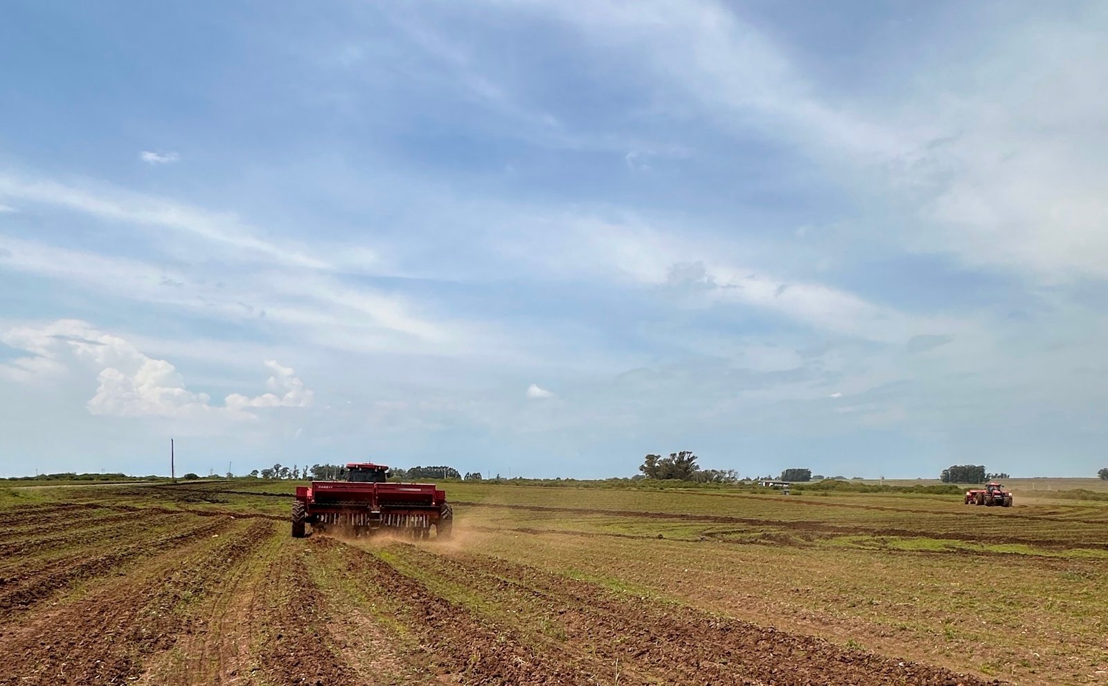 Na querência do Baita Chão, produtores gaudérios já plantaram mais de 15 mil hectares, enquanto o Rio Grande avança com 38% da área prevista para a safra que promete encher os galpões